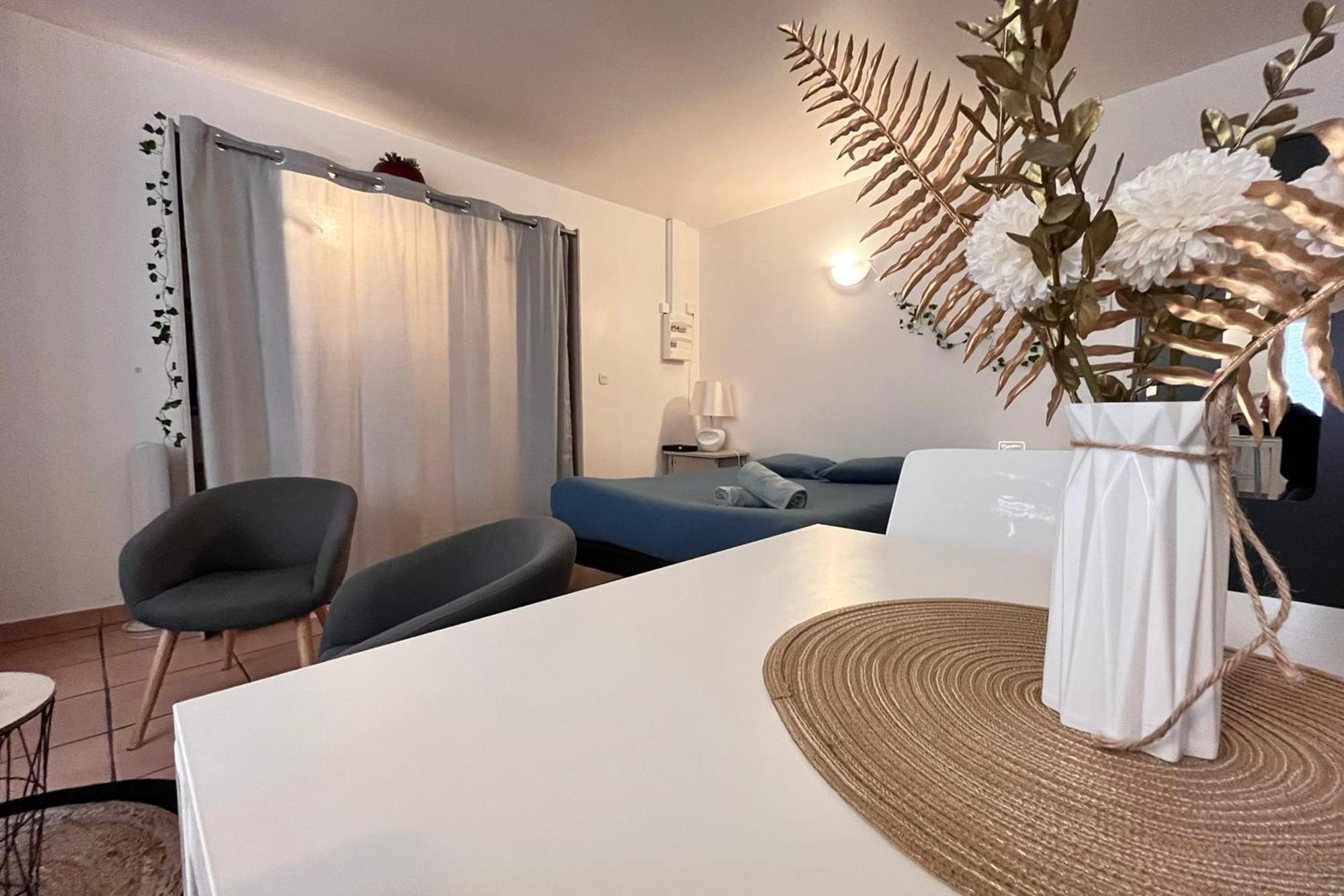 Le Studio Theolier Downtown - Close To Pedestrian Street 투르농쉬르론 외부 사진
