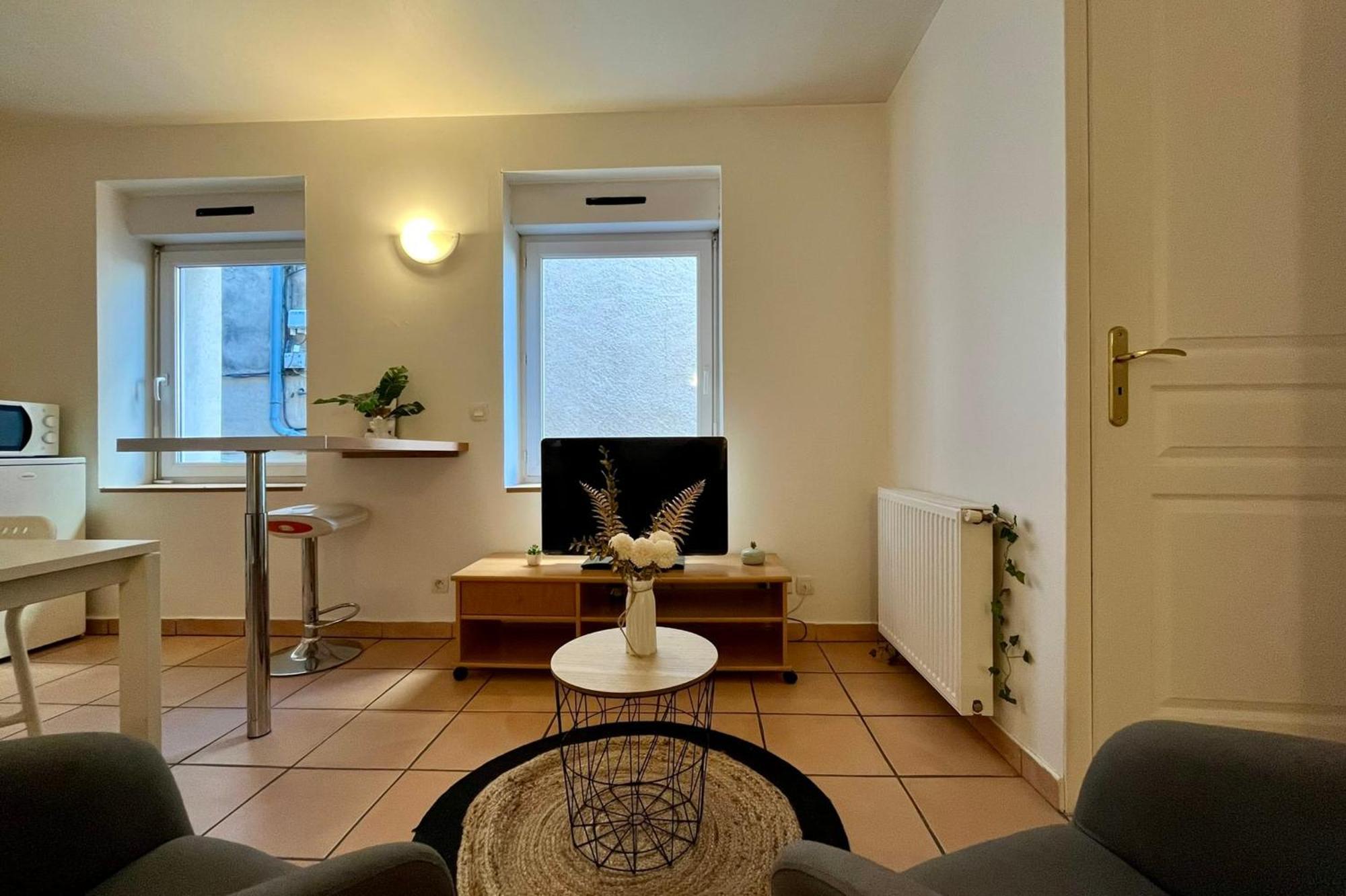 Le Studio Theolier Downtown - Close To Pedestrian Street 투르농쉬르론 외부 사진