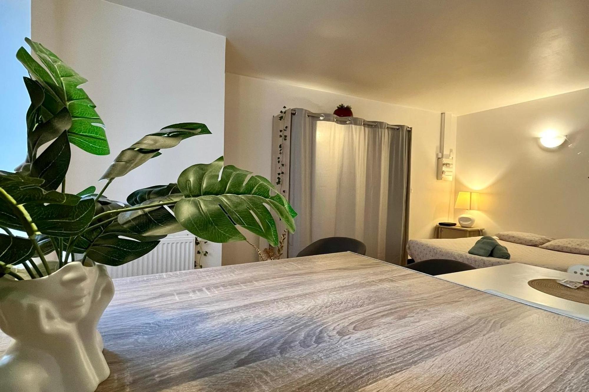 Le Studio Theolier Downtown - Close To Pedestrian Street 투르농쉬르론 외부 사진